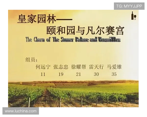 皇家在线地址的最新动态与安全性分析